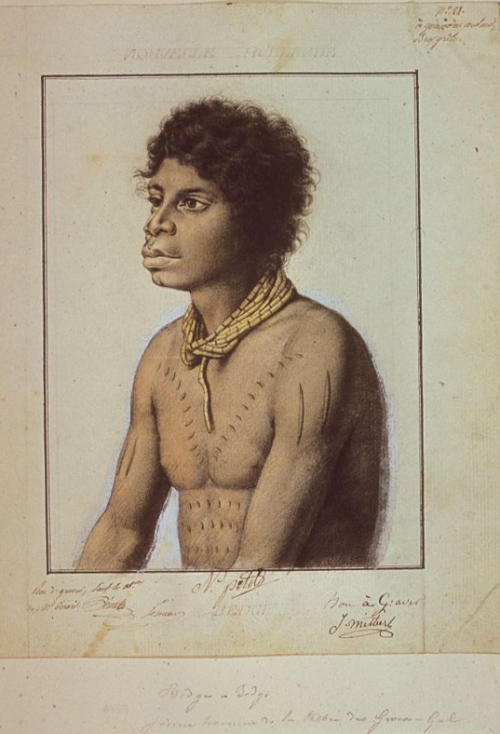 N.-M. Petit, Aboriginal man, Bedgi-Bedgi of the tribe of Gwea-Gal, New Holland.